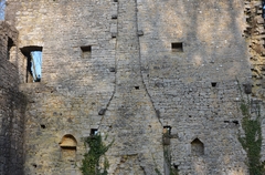 Poilvache_030